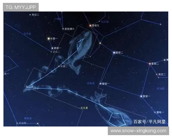 双鱼座出生的足球巨星：探索他们的球场成就与星座特点
